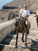 Mules in Fira